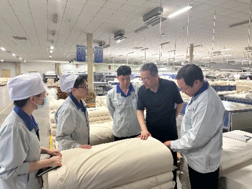 常山集團黨委副書記、副董事長、總經(jīng)理楊瑞剛赴恒盛分公司督導調(diào)研